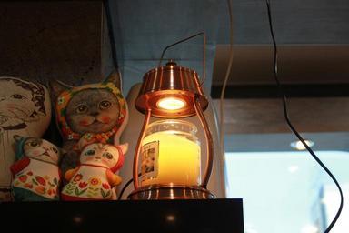 cat-lantern-bright-dolls-light-340073.jpg