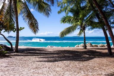 beach-palm-trees-sand-ocean-sea-1149146.jpg