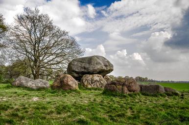 nature-branches-tree-stones.jpg