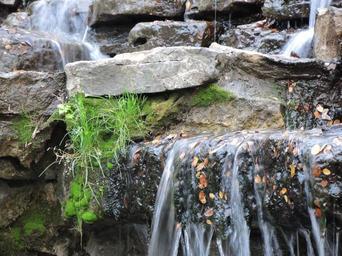 nature-waterfall-water-landscape-801265.jpg