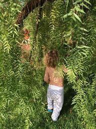 child-nature-willow-natural-play-1003367.jpg