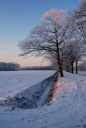winter-white-frost-snow-1563188.jpg