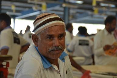 dubai-fish-market-workers-showtime-1196197.jpg