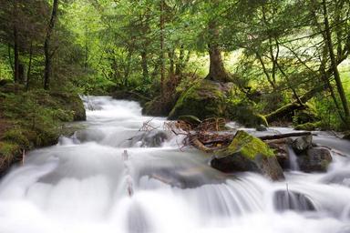 water-cascade-nature-waters-bach-776047.jpg