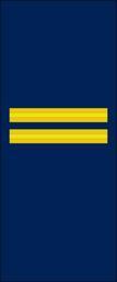 02 UKR Мат 15-07-1918 (Рукав).svg