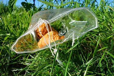 croissant-roll-bread-food-waste-1575702.jpg