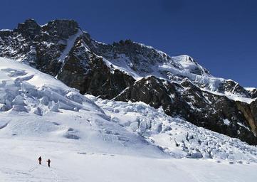 skier-skiing-on-fresh-powder-snow.jpg