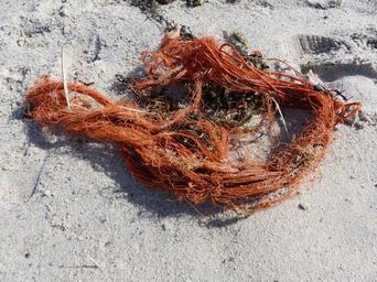 flotsam-rope-sand-beach-summer-1317078.jpg