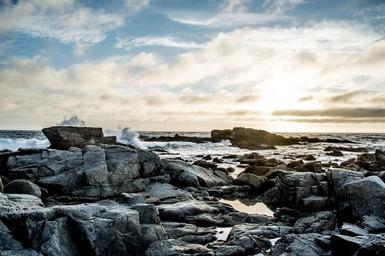 coast-shore-stones-rocks-wild-691454.jpg