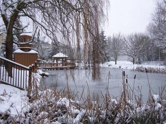 snow-winter-cold-white-season-387845.jpg