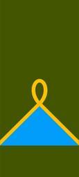 07 УНР 24-04-1919 Хoрунжий.svg