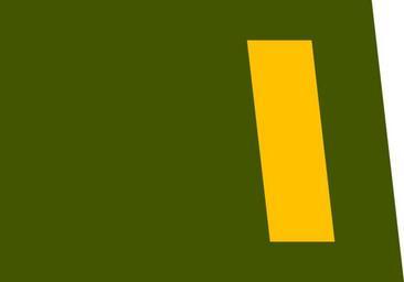 06 УНР 30-07-1919 Пiдхорунжий.svg