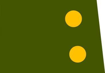 02 УНР 30-07-1919 Гуртковий.svg