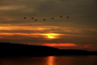 sunset-aterdecer-river-amazon-783727.jpg