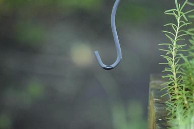 bokeh-rosemary-green-hook-hanger-657954.jpg