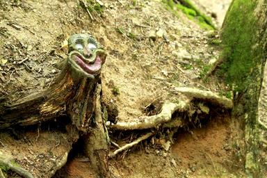 tree-face-tree-face-wood-1555267.jpg