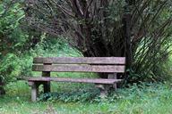 bench-bank-seat-nature-out-sit-456663.jpg