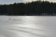 pond-frozen-ice-snow-cold-lake-651343.jpg