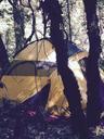 tent-camping-woods-camping-tent-929193.jpg