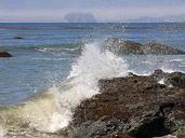 Waves splashing ocean seaweed beaches.jpg