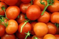 tomatoes-trusses-bush-tomatoes-620664.jpg