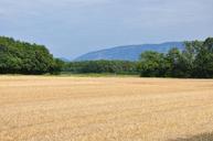 fields-rural-countryside-laconnex-425419.jpg