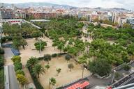 park-tree-street-barcelona-spain-428002.jpg