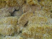 straw-straw-bales-farm-555845.jpg