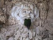 rot-park-face-seaweed-statue-1003594.jpg