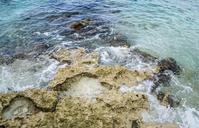 coral-reef-mexico-water-caribbean-1351376.jpg