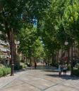 downtown-Granada-Spain.jpg