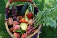 vegetables-produce-fresh-vegetables-1141208.jpg