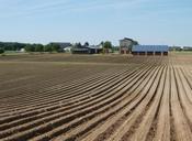 fields-farming-tobacco-oftersheim-837629.jpg