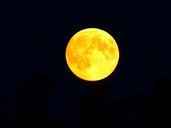 full-moon-moon-moonlight-865685.jpg