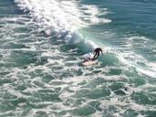 surfer-waves-ocean-sea-surf-wave-247660.jpg