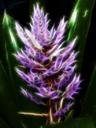 flower-digital-art-nature-plant-77945.jpg