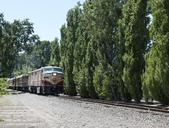 The Napa Valley Wine Train, a privately operated excursion train that runs between Napa and St. Helena, California LCCN2013633078.tif.tiff