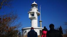 travel-tsushima-japan-694451.jpg