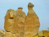 camel-cappadocia-tufa-64760.jpg