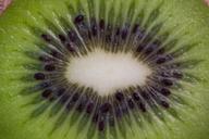 kiwi-fruit-vitamins-healthy-food-1080782.jpg