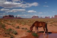 monument-valley-national-park-1088491.jpg