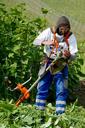 weed-man-overalls-mulcher-779454.jpg