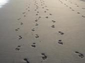 footprints-sand-beach-186771.jpg