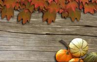 wine-background-autumn-decoration-438228.jpg