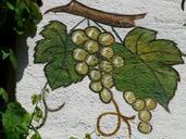 mural-painting-grapes-grapevine-56173.jpg