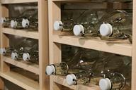 bottles-shelf-empty-storage-1070979.jpg