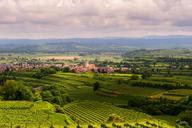 landscape-vineyards-terraces-summer-1440119.jpg