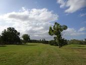 golf-fairway-course-golfing-grass-997319.jpg