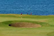 golf-course-golf-sport-green-1146819.jpg