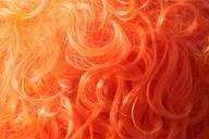 orange-wig-netherlands-hair-637614.jpg